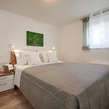 Laurus トロギール