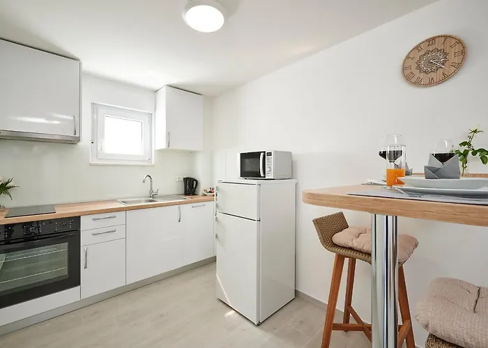 Laurus * 特罗吉尔